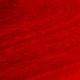 Trans Red