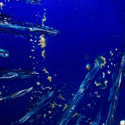 Deep Blue